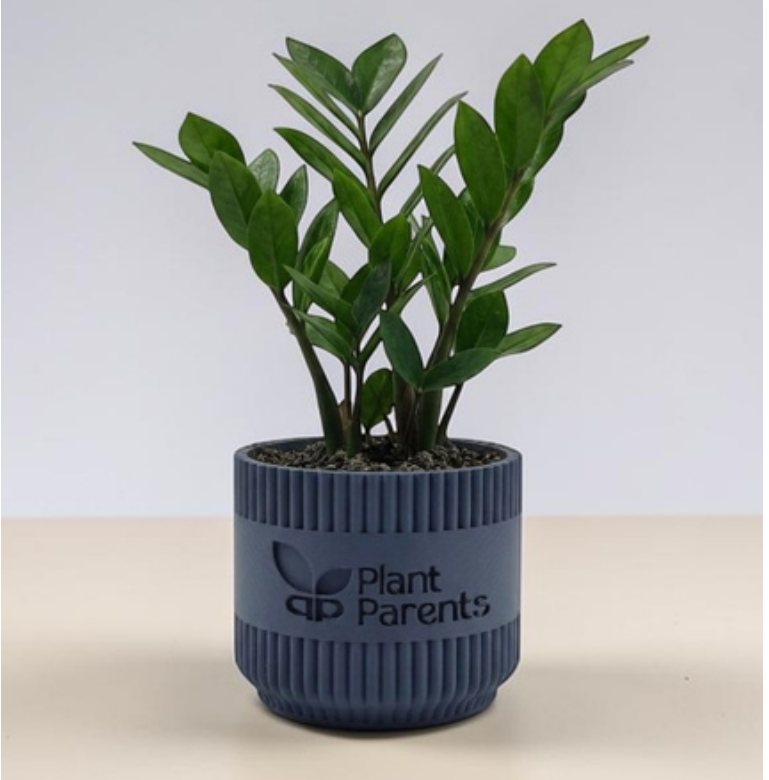 Sustainable Planters
